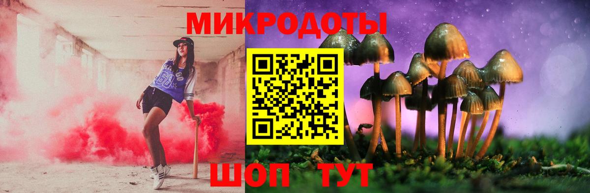 Обь  Псилоцибиновые грибы GOLDEN TEACHER  Вход с VPN 